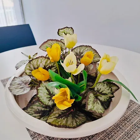 Vakantiehuis Dai Massari *